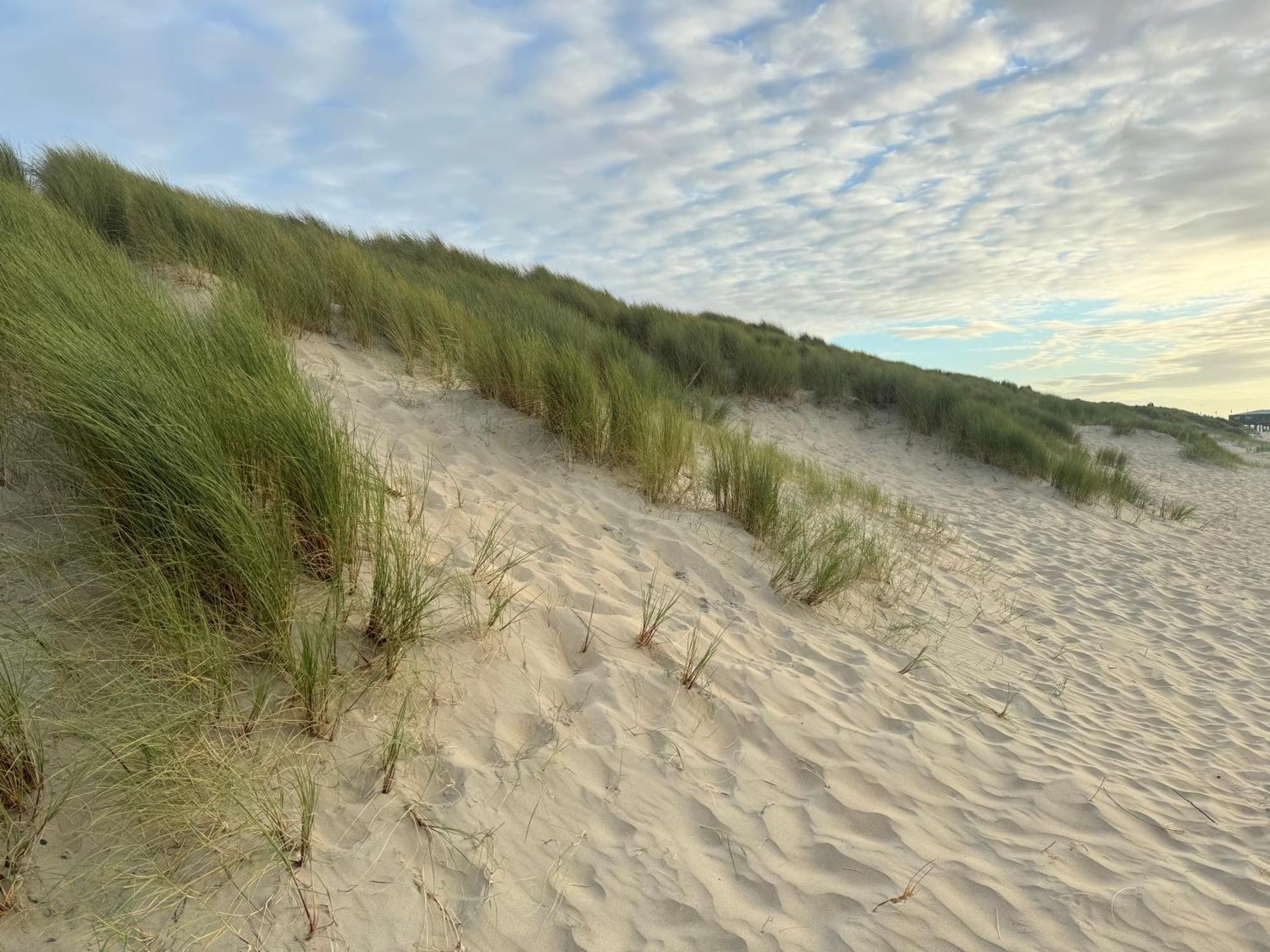 Huebsches Ferienhaus In Ouddorp - Fusslaeufig Zum Strand Und Zentrum Экстерьер фото